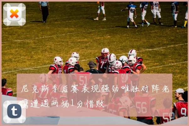 尼克斯季后赛表现强劲唯独对阵老鹰遭遇两场1分惜败